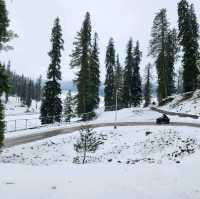 กุลมาร์ค (Gulmarg) @แคชเมียร์