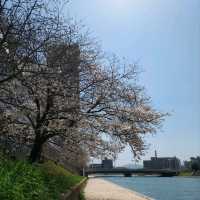 Sunshine Day @ Kokura 