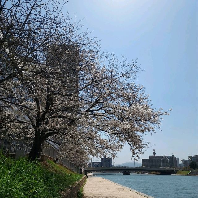 Sunshine Day @ Kokura 