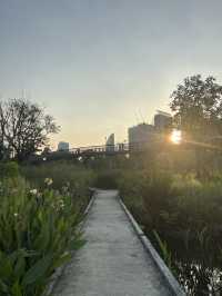 พิกัดสถานที่ถ่ายรูปสวย สวนเบญจิกิติ 🌳