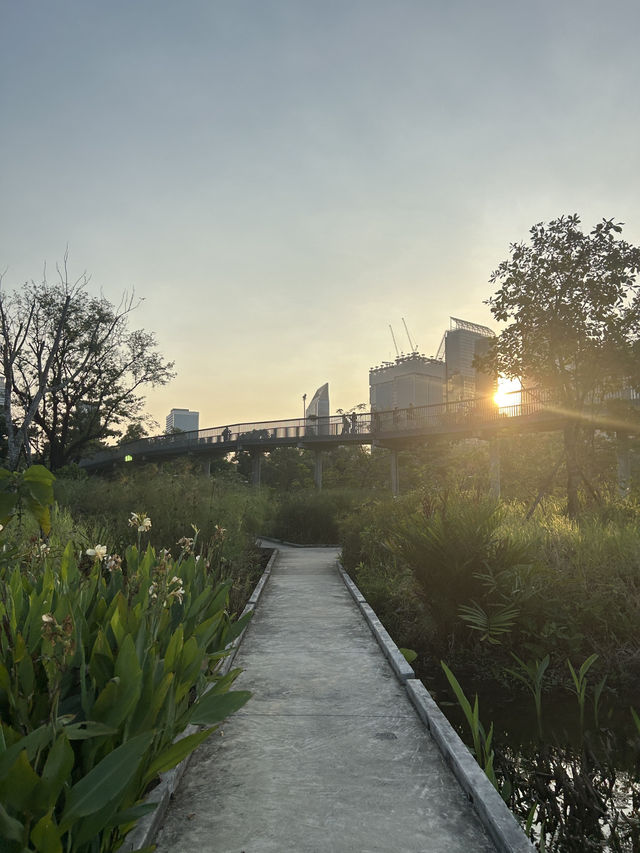 พิกัดสถานที่ถ่ายรูปสวย สวนเบญจิกิติ 🌳