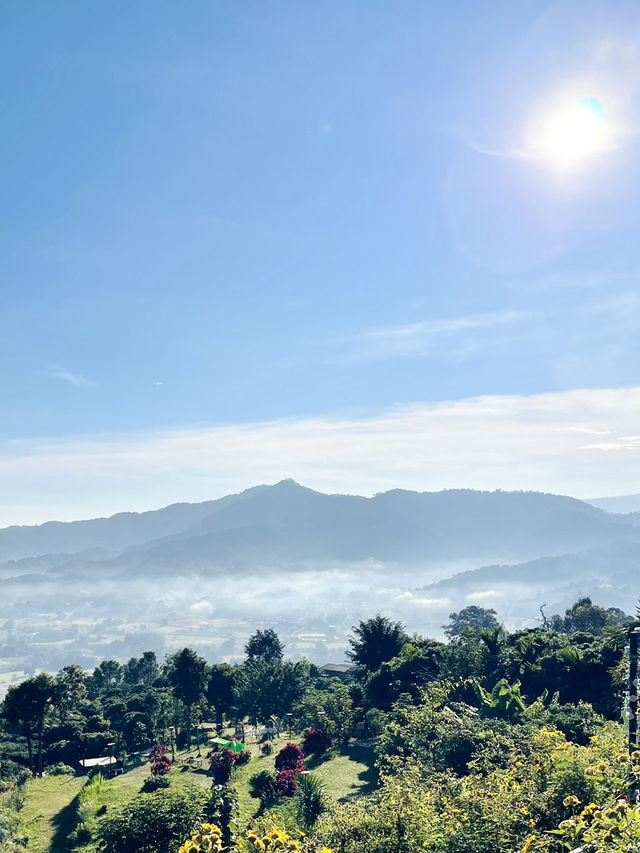 สัมผัสสายหมอก โอบกอดขุนเขา ที่ภูลังกา 🏞️✨
