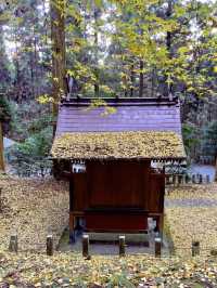熊本のパワースポット😊受験合格や困難打破にも🥹✨穿戸岩🪨