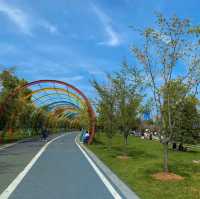 田心森林公園🪻清新療癒