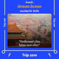 ทุ่งทานตะวัน บ้านหมี่  ลพบุรี
