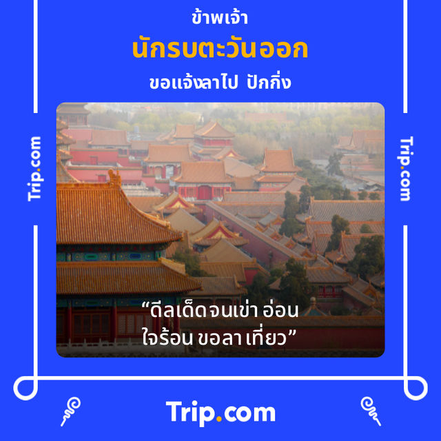 ทุ่งทานตะวัน บ้านหมี่  ลพบุรี