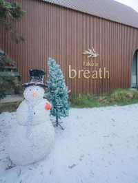 พิกัดคาเฟ่ธีมคริสต์มาส🎄🎅🏻 Take a Breath café