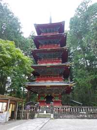 【日光東照宮】歴史と自然が織りなす絶景🇯🇵