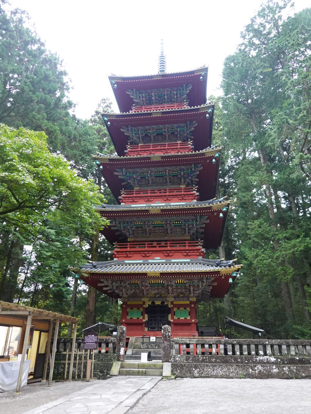 【日光東照宮】歴史と自然が織りなす絶景🇯🇵
