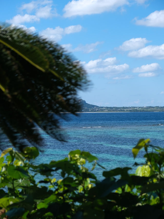 🇯🇵沖繩旅遊·海天一色萬座毛