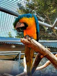 馬拉加近郊的大型動物園