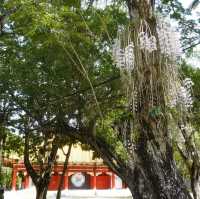 嘉義公園