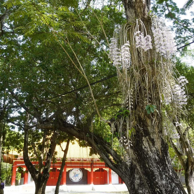嘉義公園
