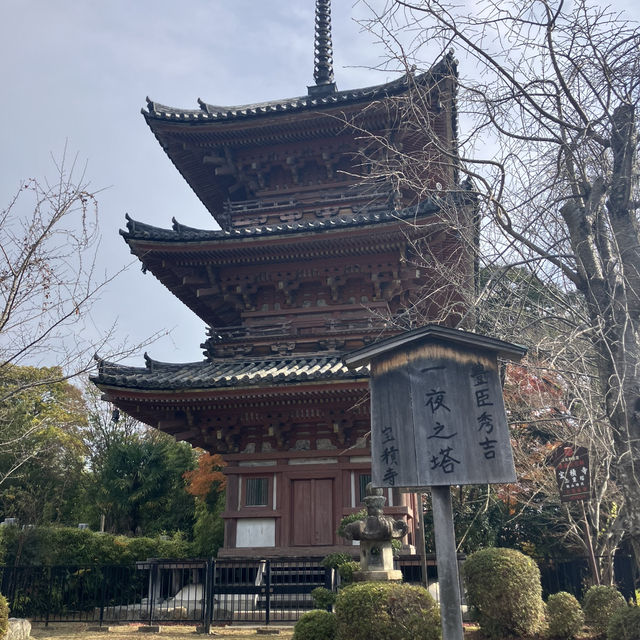 初日の出:天下分け目の天王山旗立松展望台