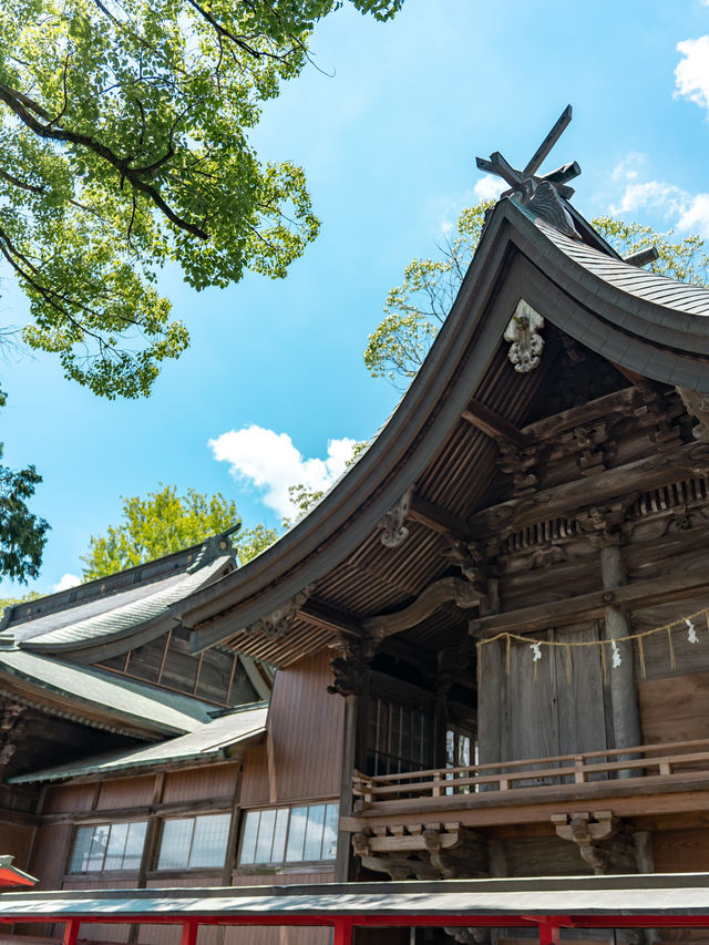 美奈宜神社 & 白峯神社　📍福岡/ 朝倉