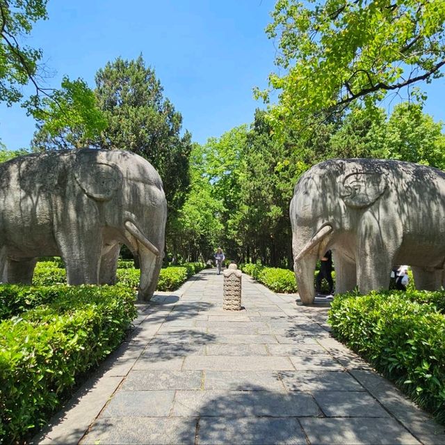欣賞南京世界文化遺產-明孝陵