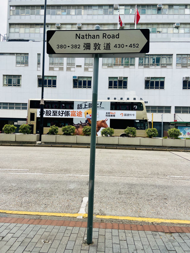 🔥香港彌敦道｜必遊繁華城市大道🛣️🚶🏻