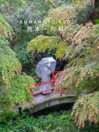 【阿蘇のおすすめグルメとおすすめスポット　📍KUMAMOTO•ASO】