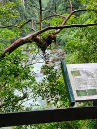 Taroko Gorge on a rainy day