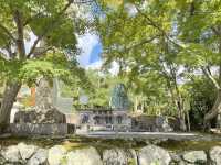 京都　天龍寺