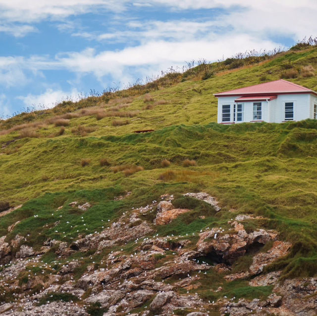The Kerikeri area, located just inland from the Bay of Islands