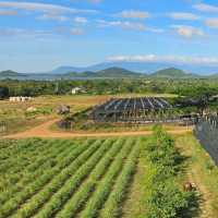 Free Kampot Pepper Tasting!