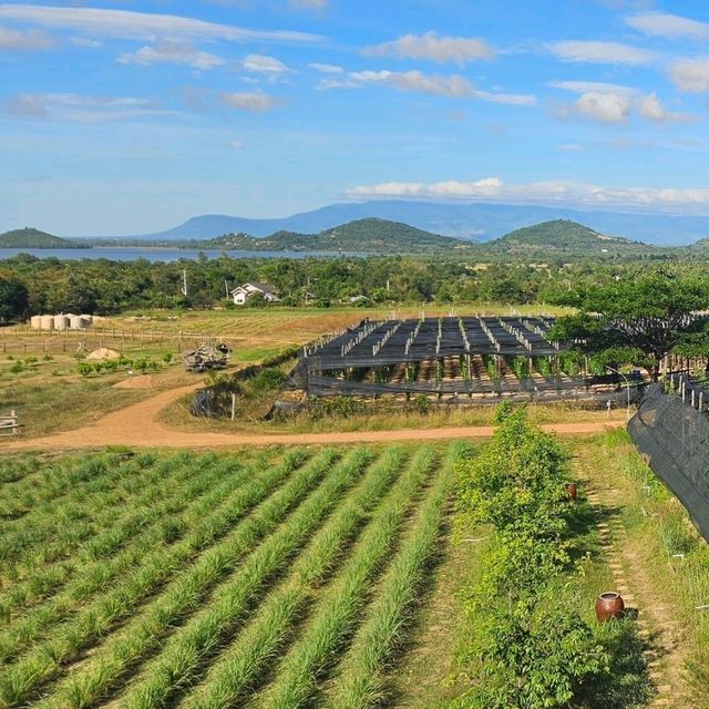 Free Kampot Pepper Tasting!