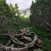 Hike to Peak of Montenegro - Bobotov Kuk