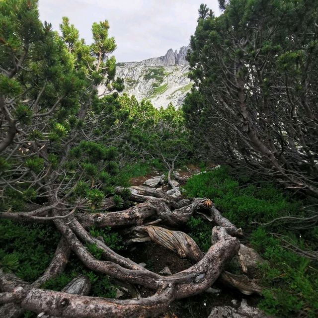 Hike to Peak of Montenegro - Bobotov Kuk