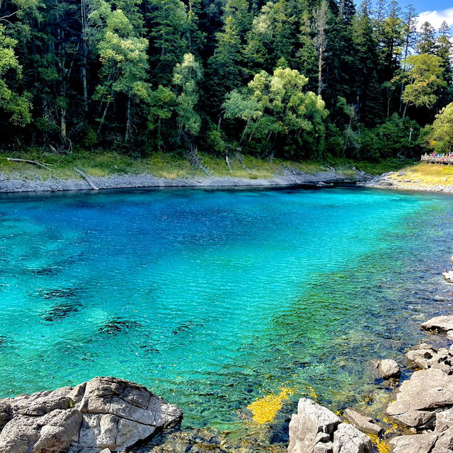 A Magical Experience in Jiuzhaigou– Travel Tips and Review 🍃 