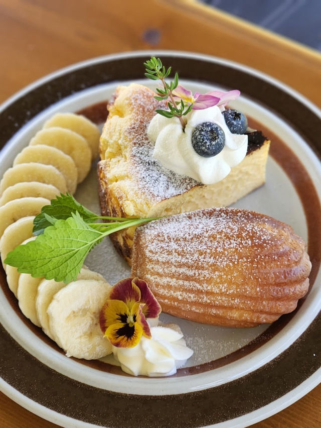 아녹