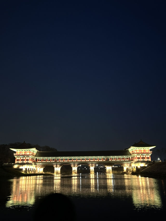 경주 야경 보기_ 월정교 !🌙