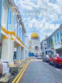 【かわいいものたくさん💐アラブストリートを散策👫🏻】