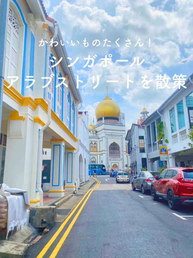 【かわいいものたくさん💐アラブストリートを散策👫🏻】