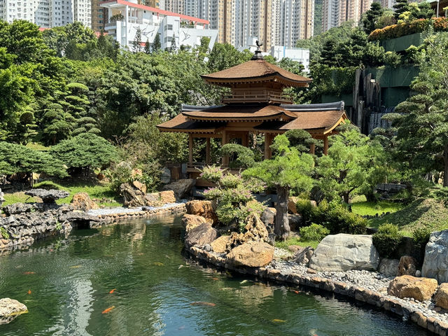 南蓮園池的歷史之旅 🌿
