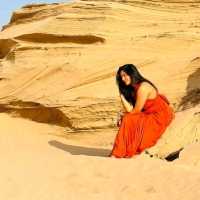 🌵 Explore Dubai Desert Safari 🌟