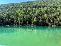 Blue Moon Valley 