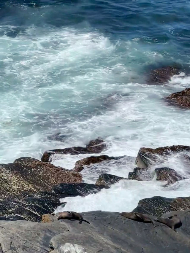 Wilderness Wonder: Exploring Flinders Chase National Park, Kangaroo Island