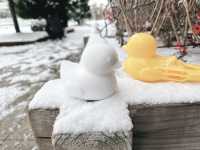 ❄️☃️🧤 제주 겨울의 기억 속 한 장면