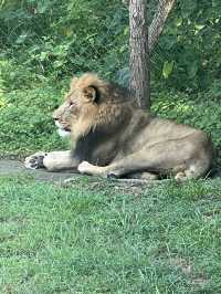 One of the best zoos I have been to!
