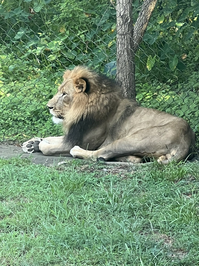 One of the best zoos I have been to!