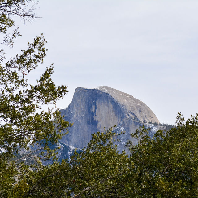 【アメリカ】大自然の絶景！ヨセミテ国立公園 🌲⛰️✨