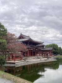 🇯🇵宇治一日遊～🍵