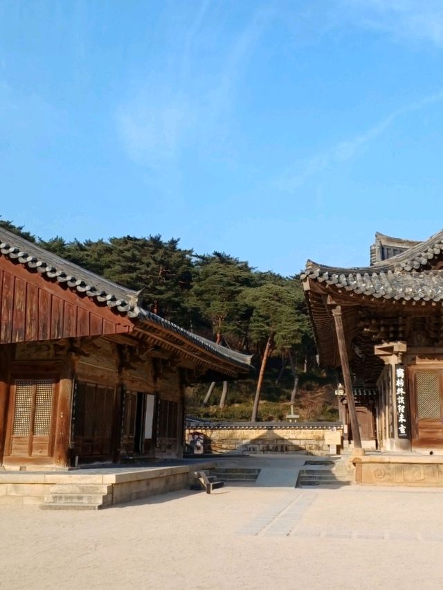 🌿 고즈넉한 사찰 데이트, 통도사