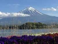 A Perfect Day Trip from Tokyo to Lake Kawaguchiko – Nature, Culture, and Mount Fuji Views