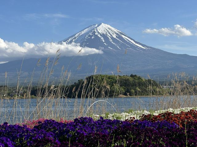 A Perfect Day Trip from Tokyo to Lake Kawaguchiko – Nature, Culture, and Mount Fuji Views