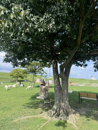 宛如置身北海道？！但其實是在愛知縣