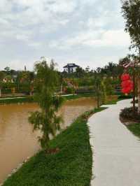 Bamboo Pathways and Calligraphy: A Serene Escape