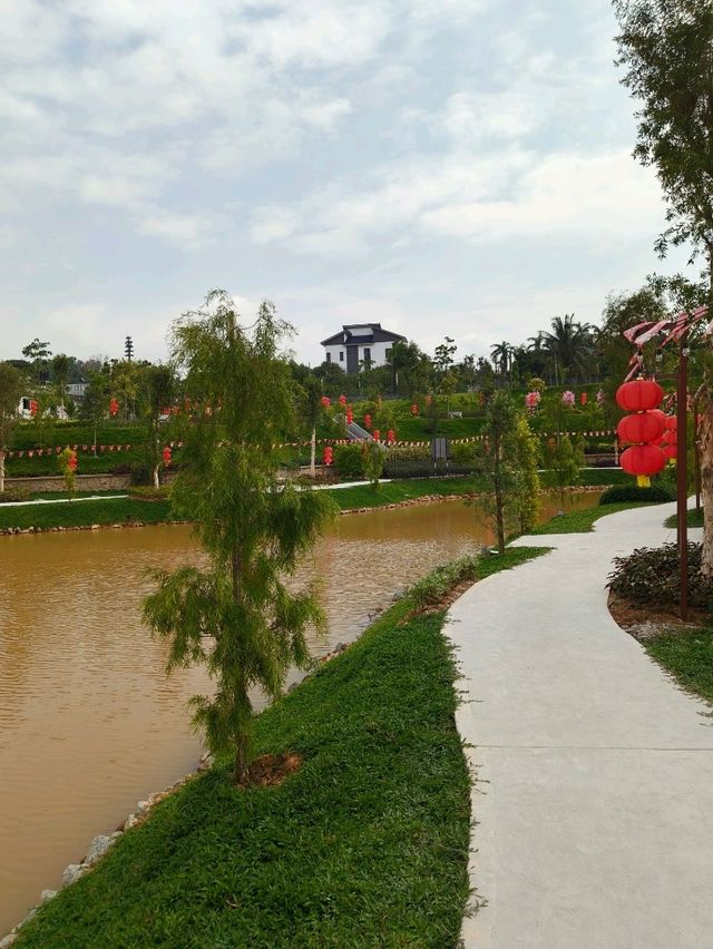 Bamboo Pathways and Calligraphy: A Serene Escape