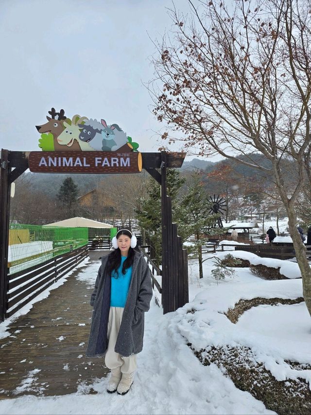 무료로 즐기는 동물농장이 있는 프렌치가든🤍